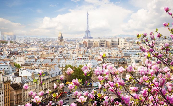 Looking to travel to Paris in March? March is a magical time to visit the City of Light, with its fascinating mixture of colorful fresh start and old-world class.