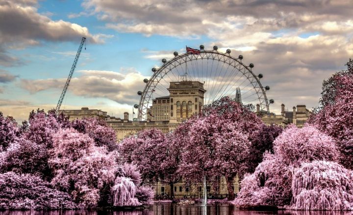 Spring in France! France is a country that comes alive in the beautiful season of spring, from the bustling city streets of Paris to the sweeping vines of