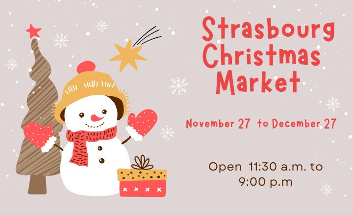 Are you thinking about visiting the Strasbourg Christmas Market? I have all the information you need to organize your vacation. Strasbourg is extremely festive during the Christmas season.